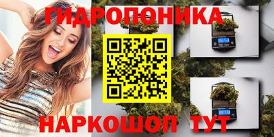 прущие крисы Гай